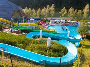 foto za novice SPLET (12)